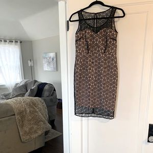 Ann Taylor Champagne/Black Midi Dress